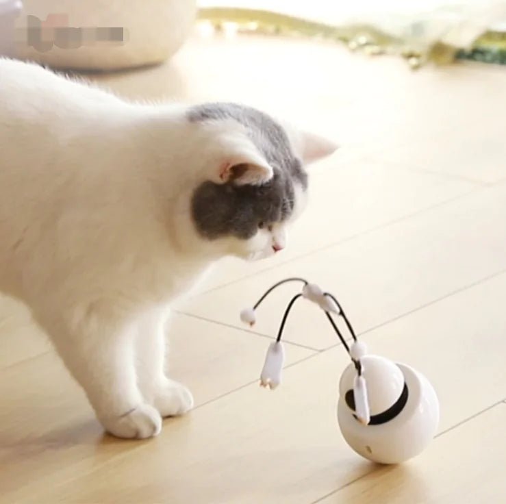 3 - in - 1 Robotic Laser Cat Toy for Pets - Studio ZD -