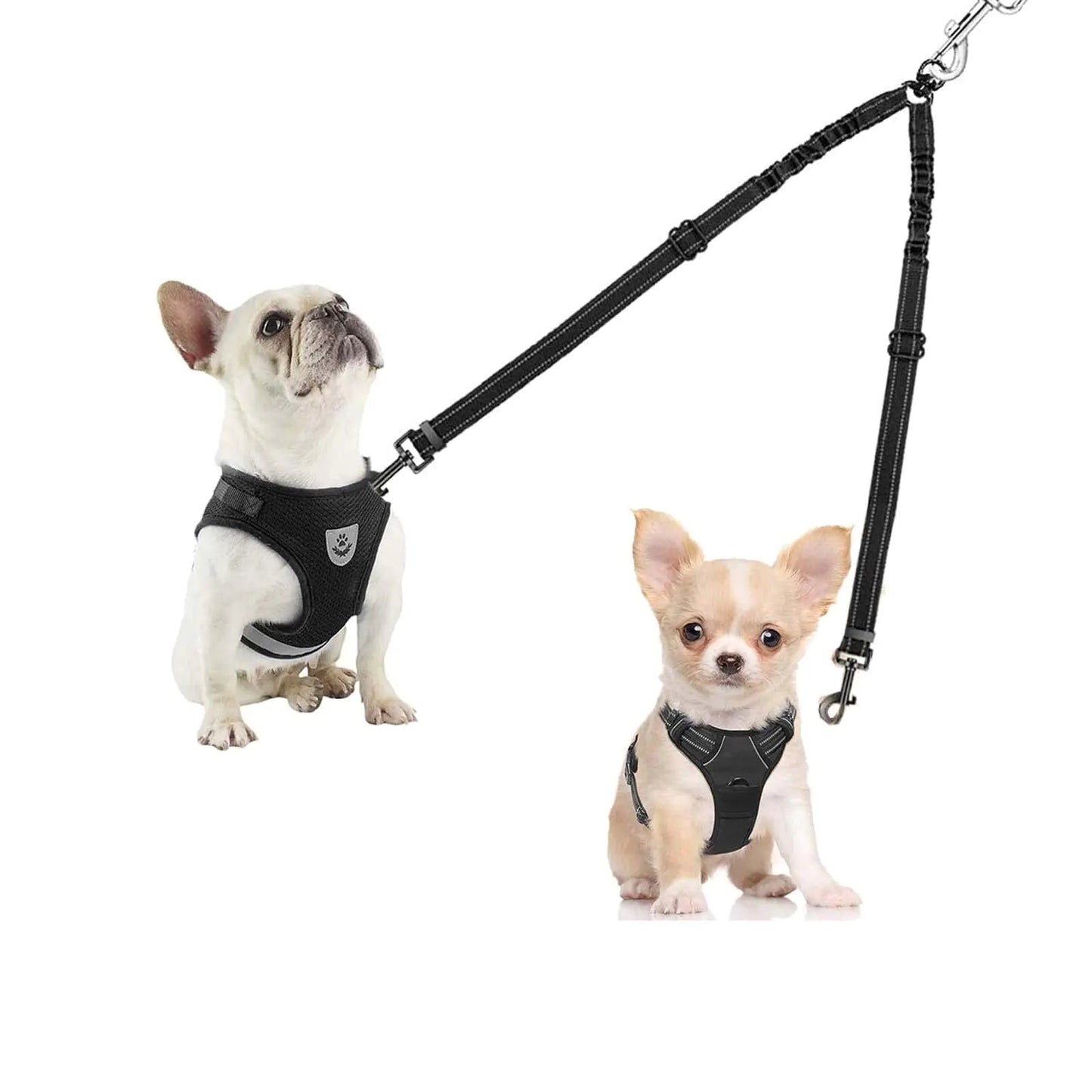 Dual Dog Leash for 2 Dogs LRHINETAR Double Dog Leash with 360 Swivel No Tangle Walking - Studio ZD -