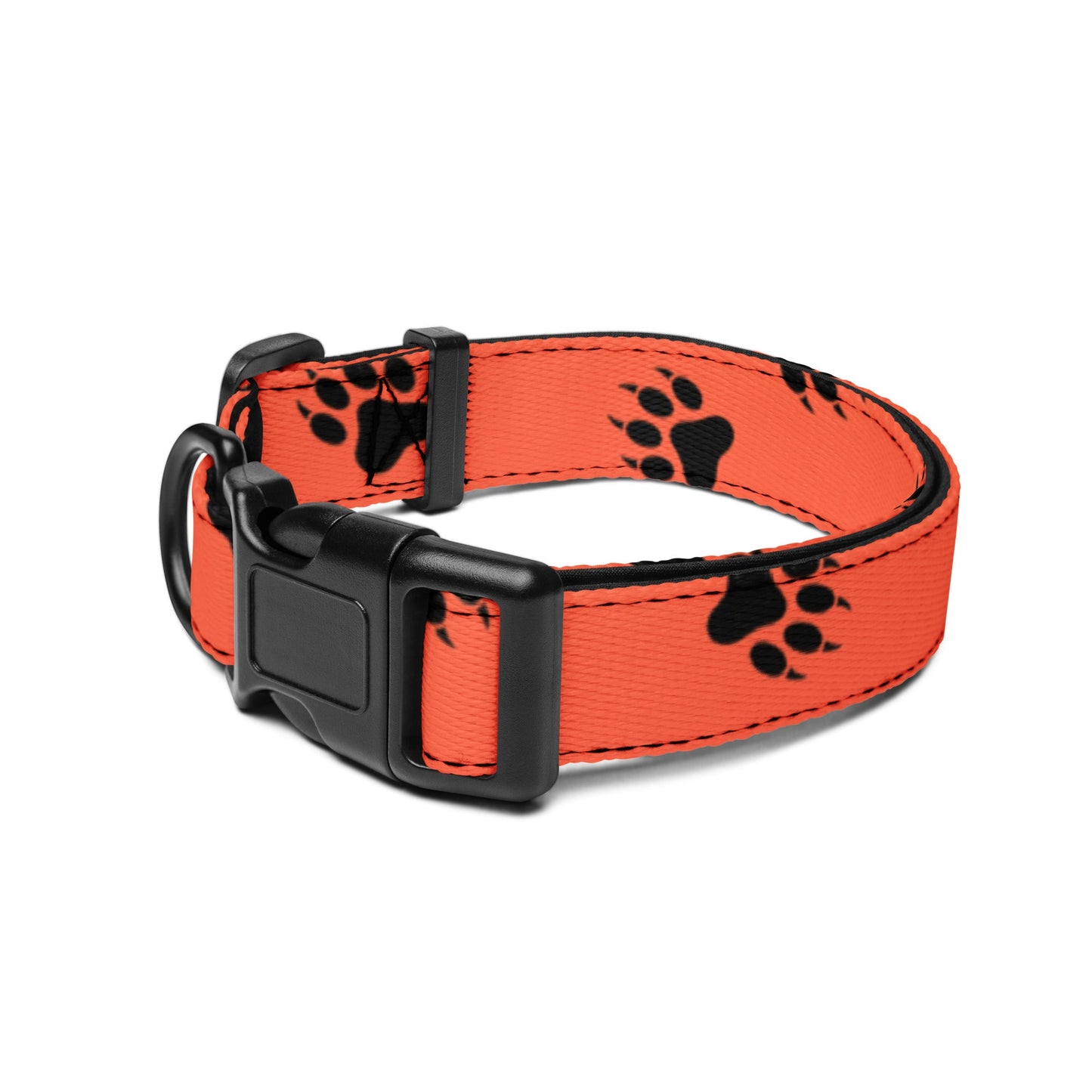 Frisky Fox - Dog Colar - Coop and Carter's - Studio ZD -