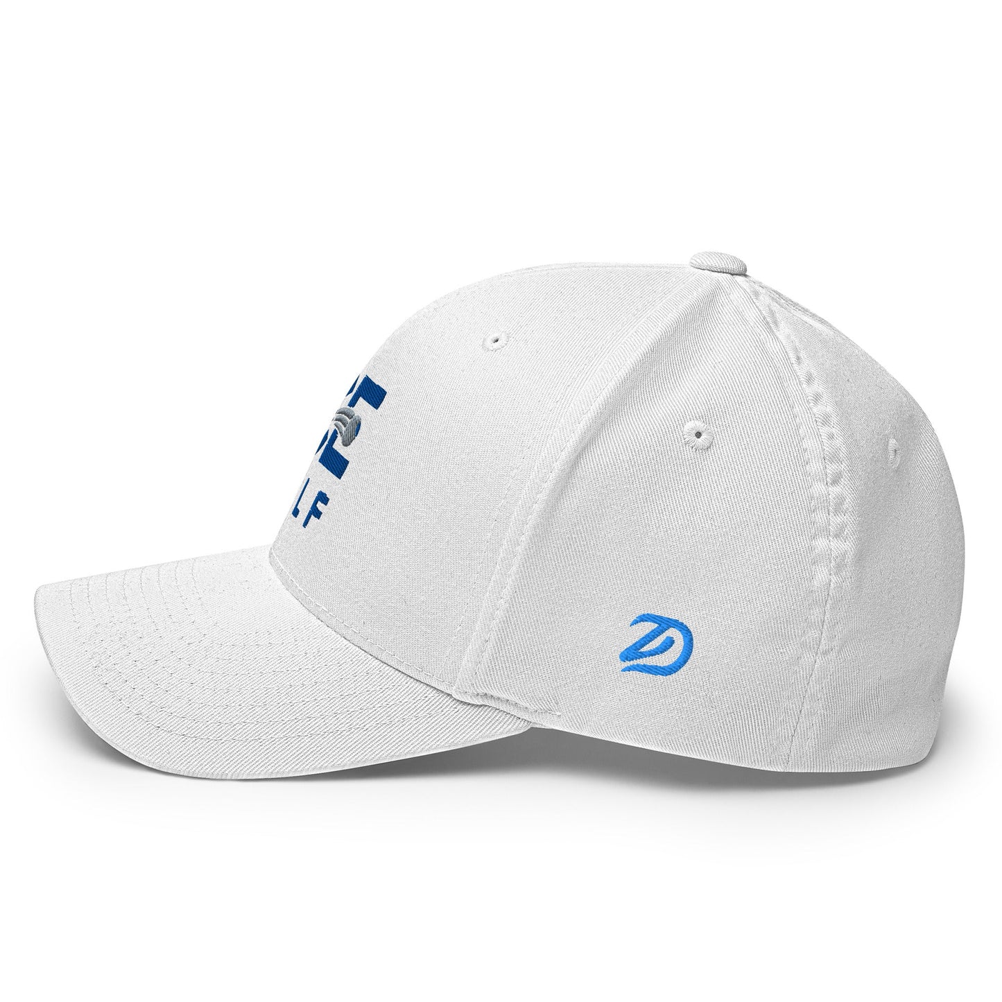 Ice Golf + Golf ZD - Stretch Fit Hat - Studio ZD -