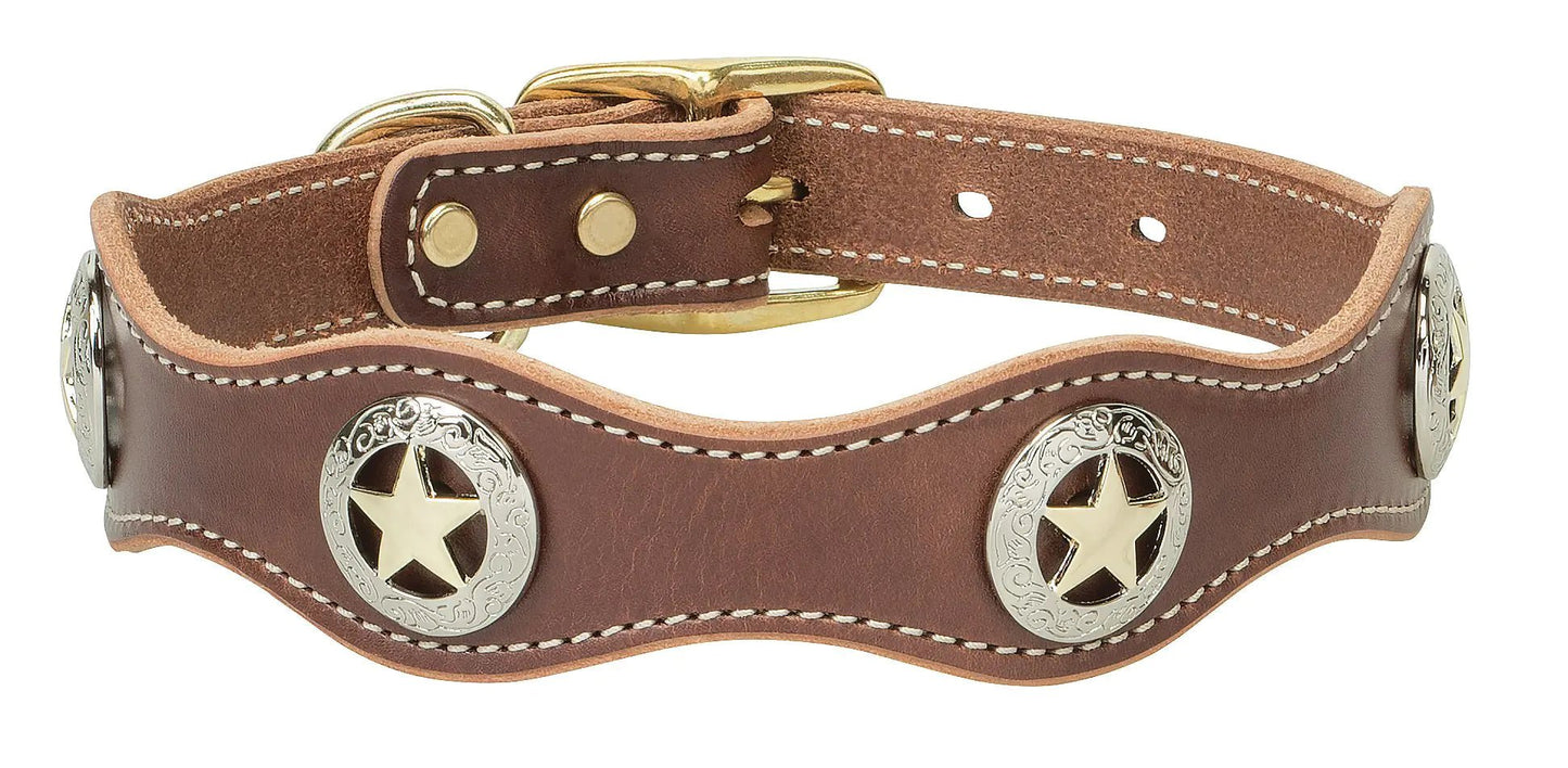 Weaver Pet Lone Star Legend Collar Sunset 1 x 17 - inch - Studio ZD -
