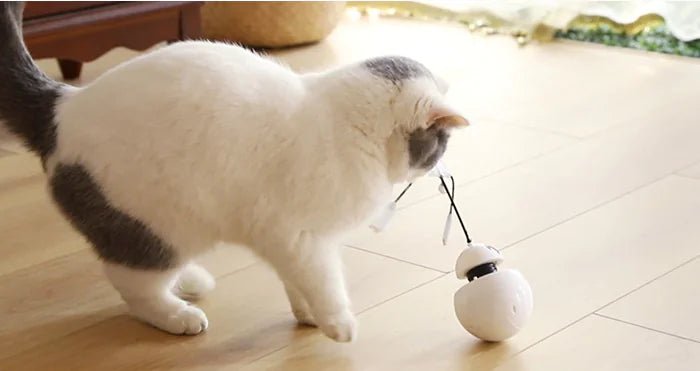 3 - in - 1 Robotic Laser Cat Toy for Pets - Studio ZD - 