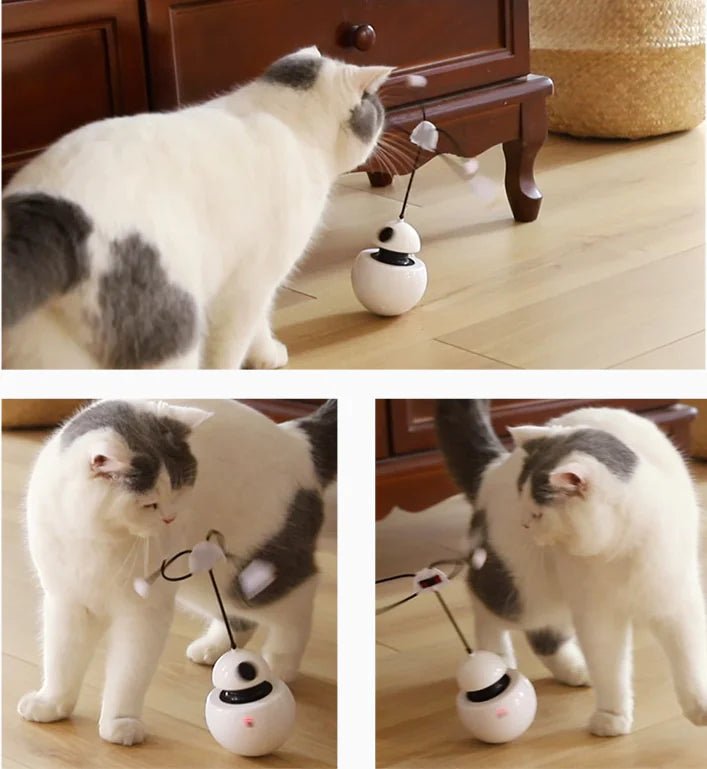 3 - in - 1 Robotic Laser Cat Toy for Pets - Studio ZD - 