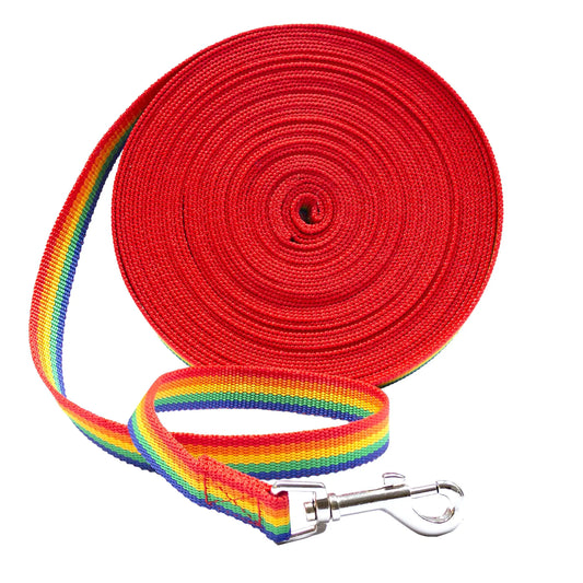 Downtown Pet Supply - Long Dog Leash - Dog Training Leash - Recall & Obedience Dog Training Tools - Nylon - 30 ft - Rainbow Dog Leash