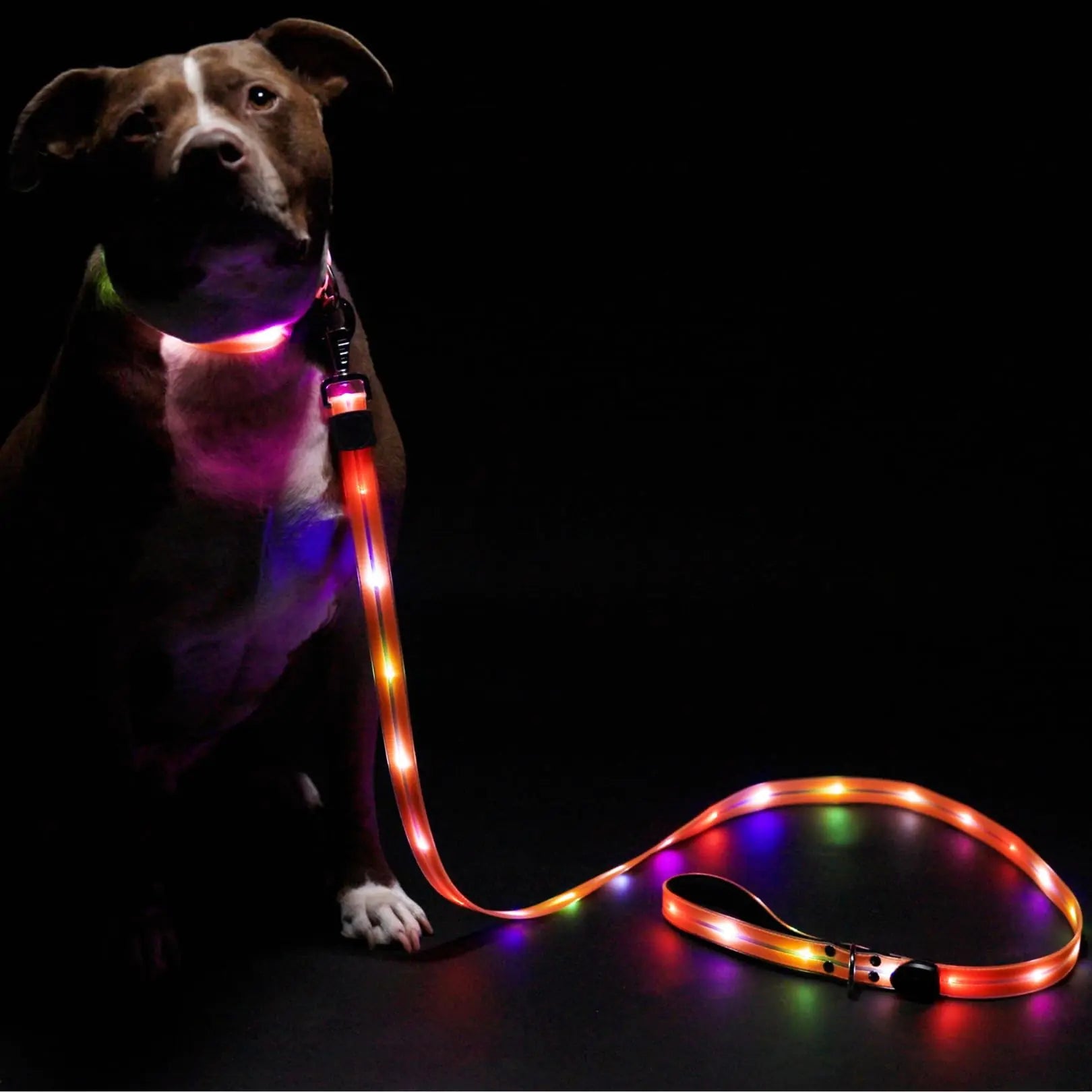 LED Dog Leash for Safe & Peaceful Evening Walks - High Visibility Light Up Dog Leash LED - Lighted Dog Leash - Light Up Leash - Dog Leash with LED Light - 6 Foot Dog Leash with Light New Version! - Studio ZD - 