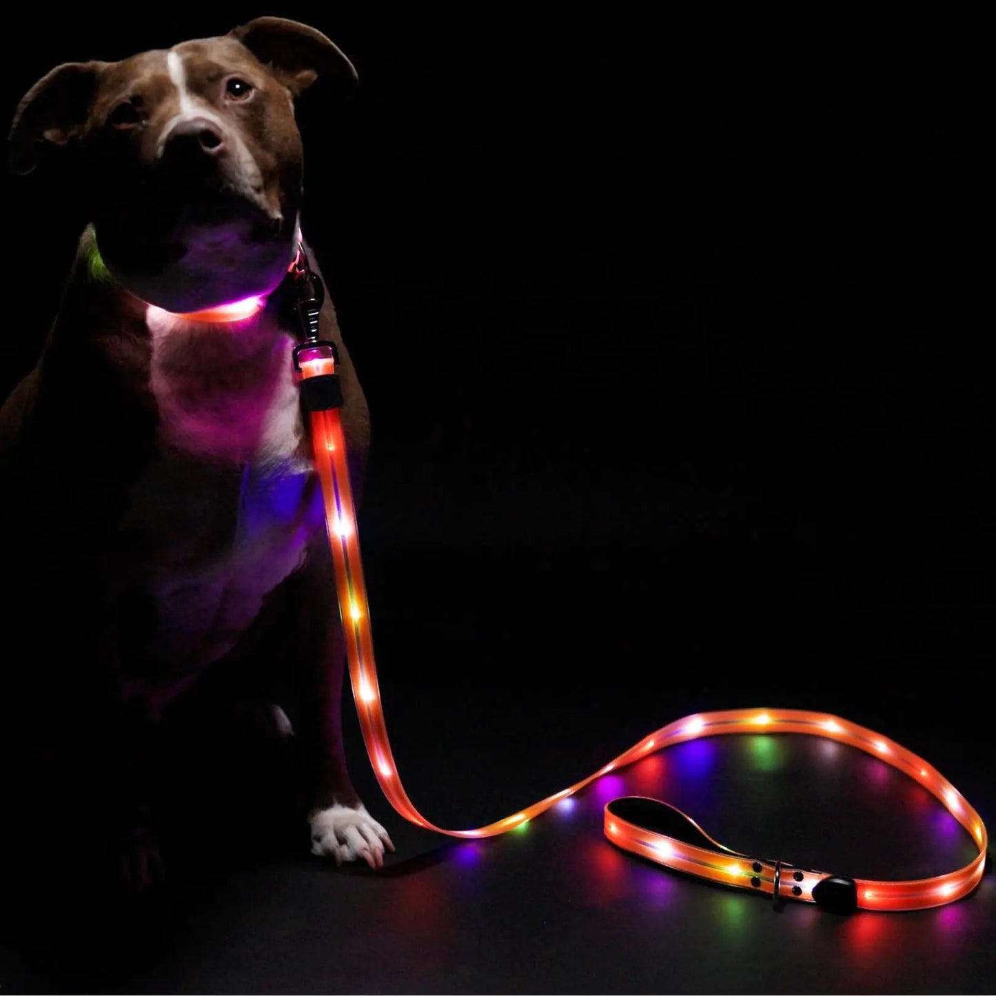 LED Dog Leash for Safe & Peaceful Evening Walks - High Visibility Light Up Dog Leash LED - Lighted Dog Leash - Light Up Leash - Dog Leash with LED Light - 6 Foot Dog Leash with Light New Version! - Studio ZD - 
