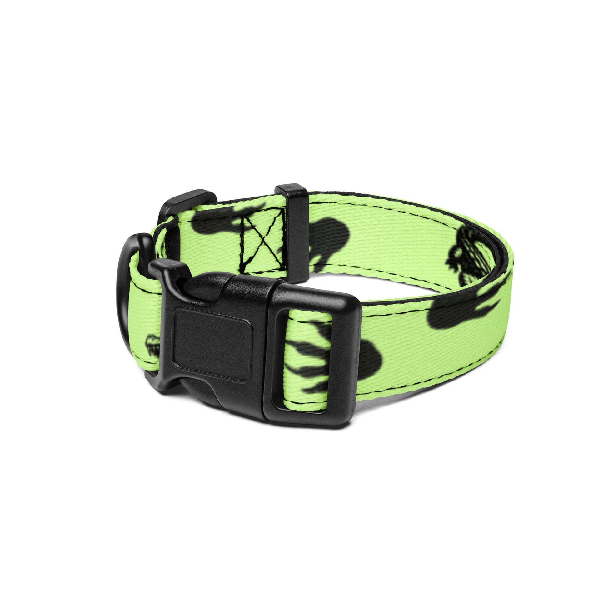 Ornery Gator - Dog Collar - Cooper and Carter's - Studio ZD - 