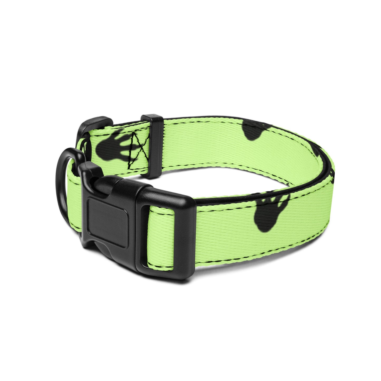 Ornery Gator - Dog Collar - Cooper and Carter's - Studio ZD - 