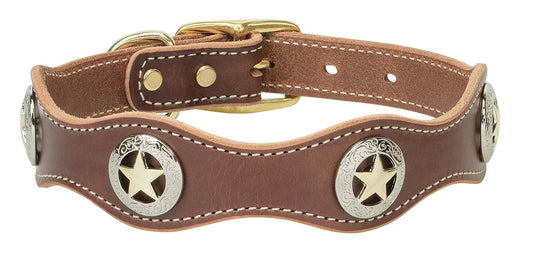 Weaver Pet Lone Star Legend Collar Sunset 1 x 17 - inch - Studio ZD - 